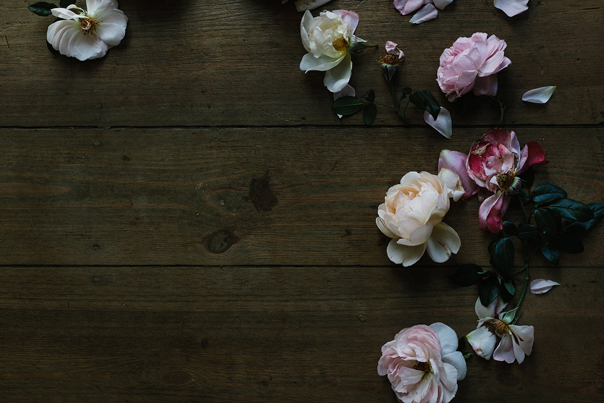 Roses at Acre of Roses